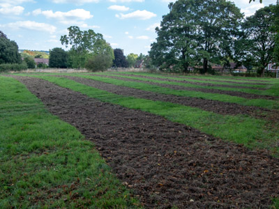 Generic placeholder image